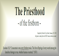 A Priesthood - Firstborn